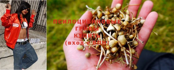 спиды Магадан