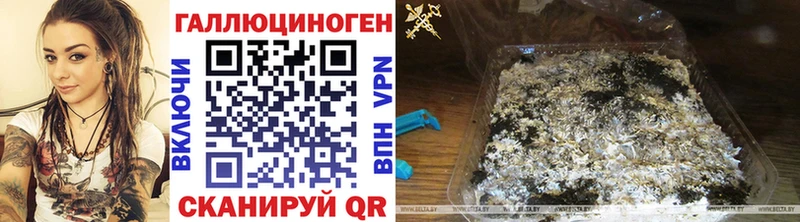 Псилоцибиновые грибы MAGIC MUSHROOMS  Туран 